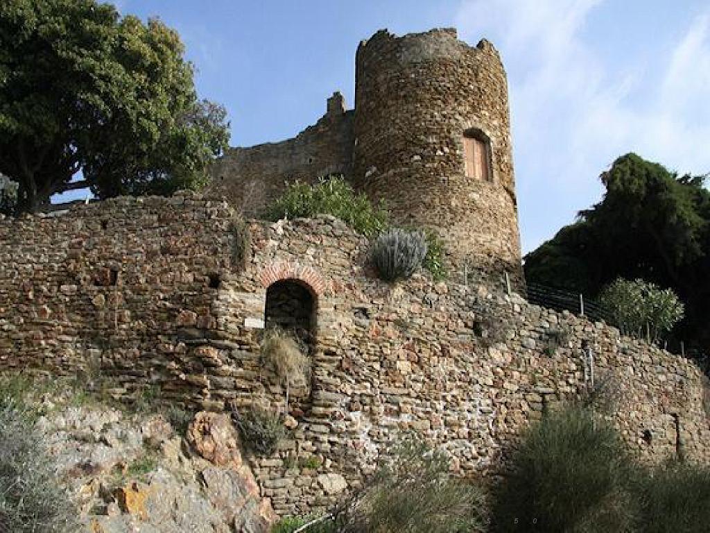 183 D24 BORMES LES MIMOSAS 2_000021.jpg